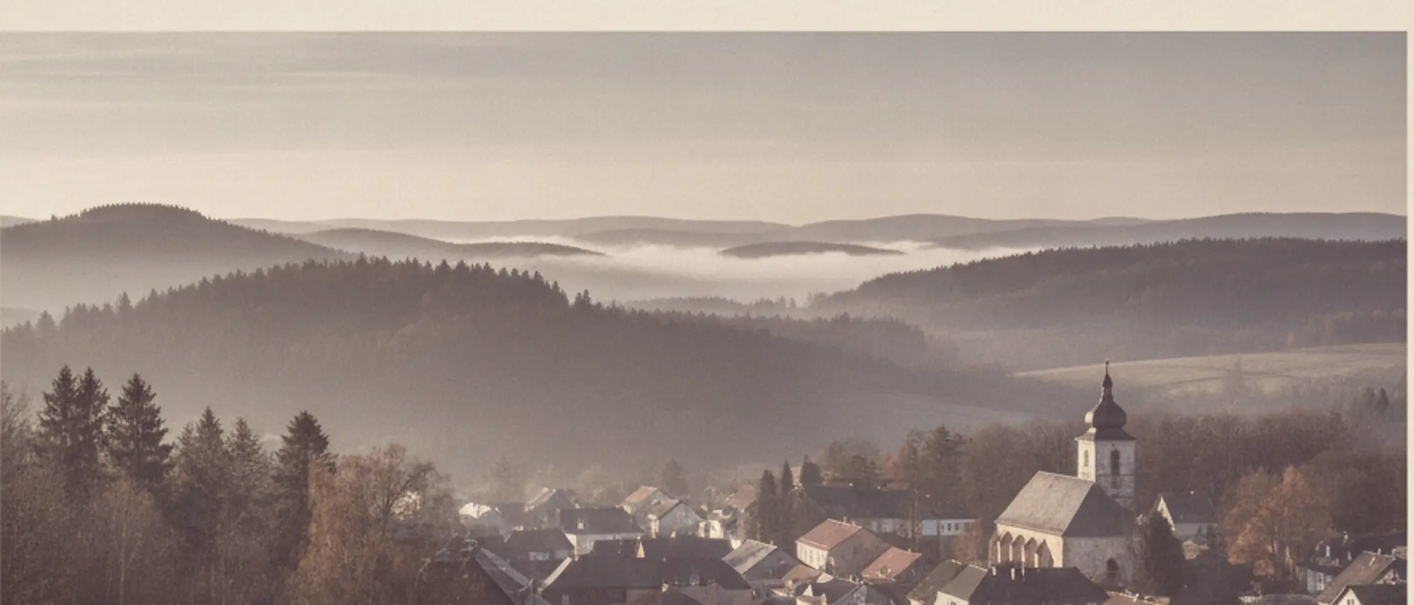 Blick über die Dächer einer Kleinstadt im Erzgebirge mit bewaldeten Höhenzügen im Dunst
